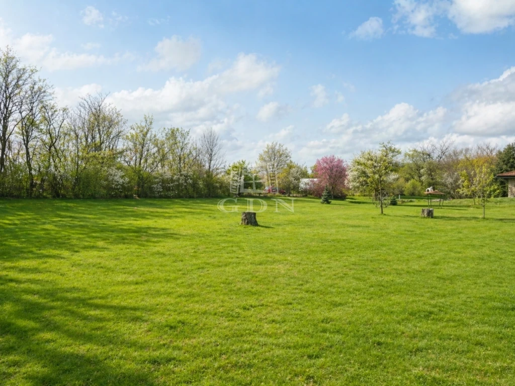 c3-1-name c2-50-name, Sárszentmihály, Zichy Kastély mellett