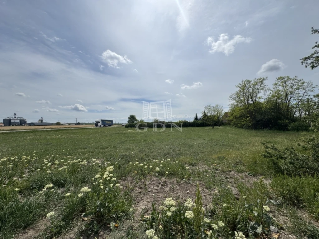 Eladó üdülőtelek, Székesfehérvár, Móri út