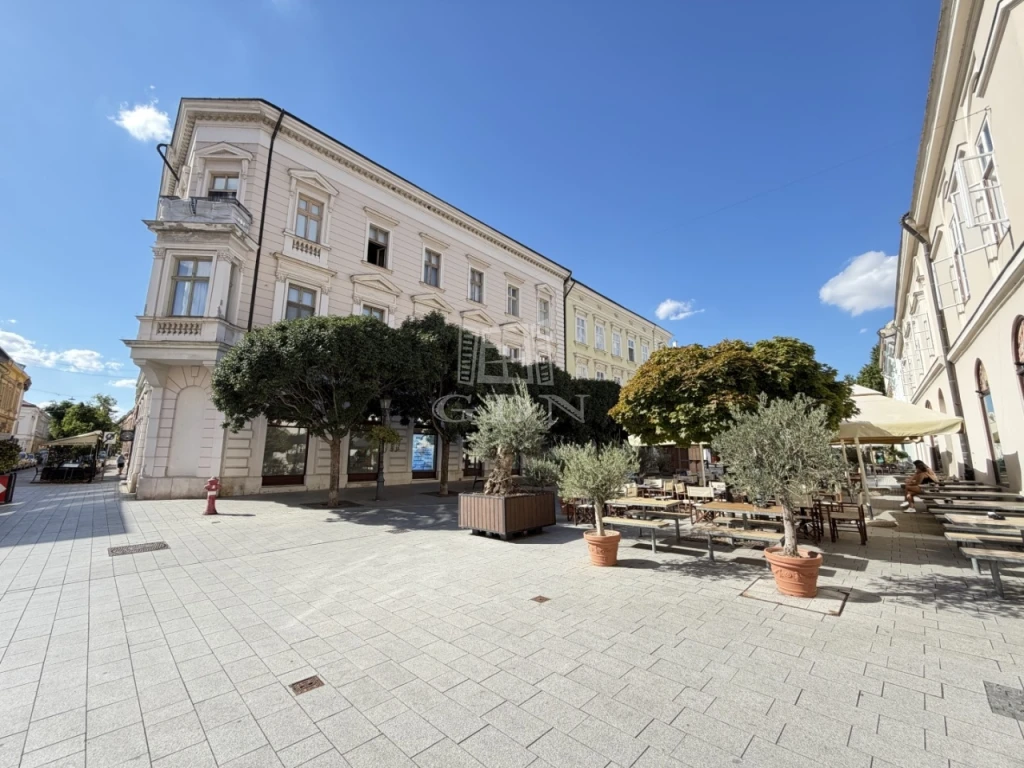 Kiadó téglalakás, Székesfehérvár, Belváros és környéke, Ady Endre utca