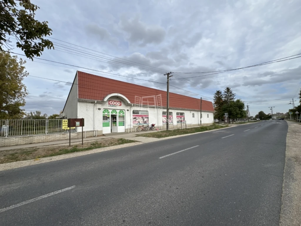 Eladó üzlet, Sárszentmihály, Fő utca