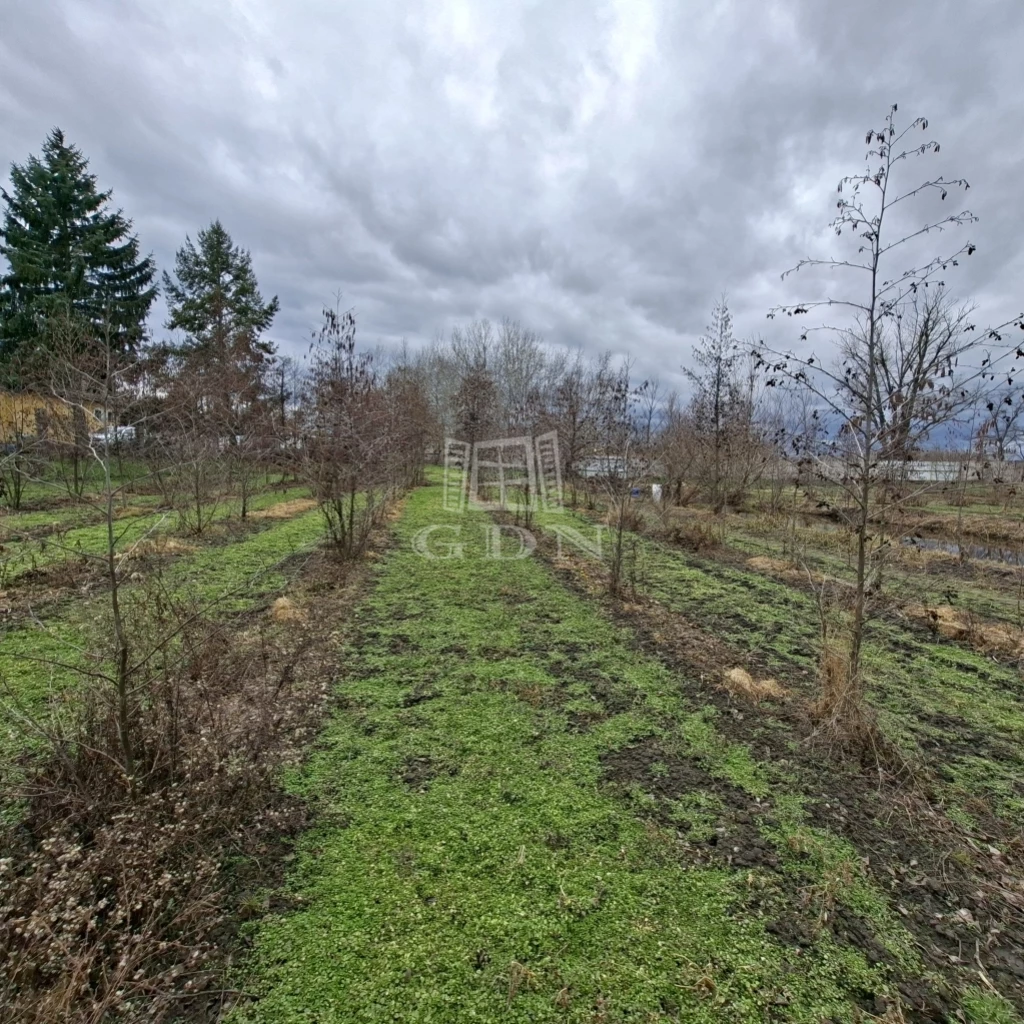 For sale lot, acreage, Nagyigmánd, Bajcsy-Zsilinszky utca