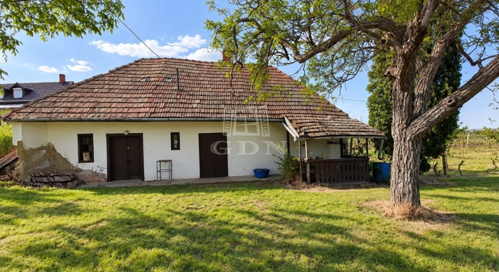 Eladó gyümölcsös, szőlő, Siójut, Présház szőlővel