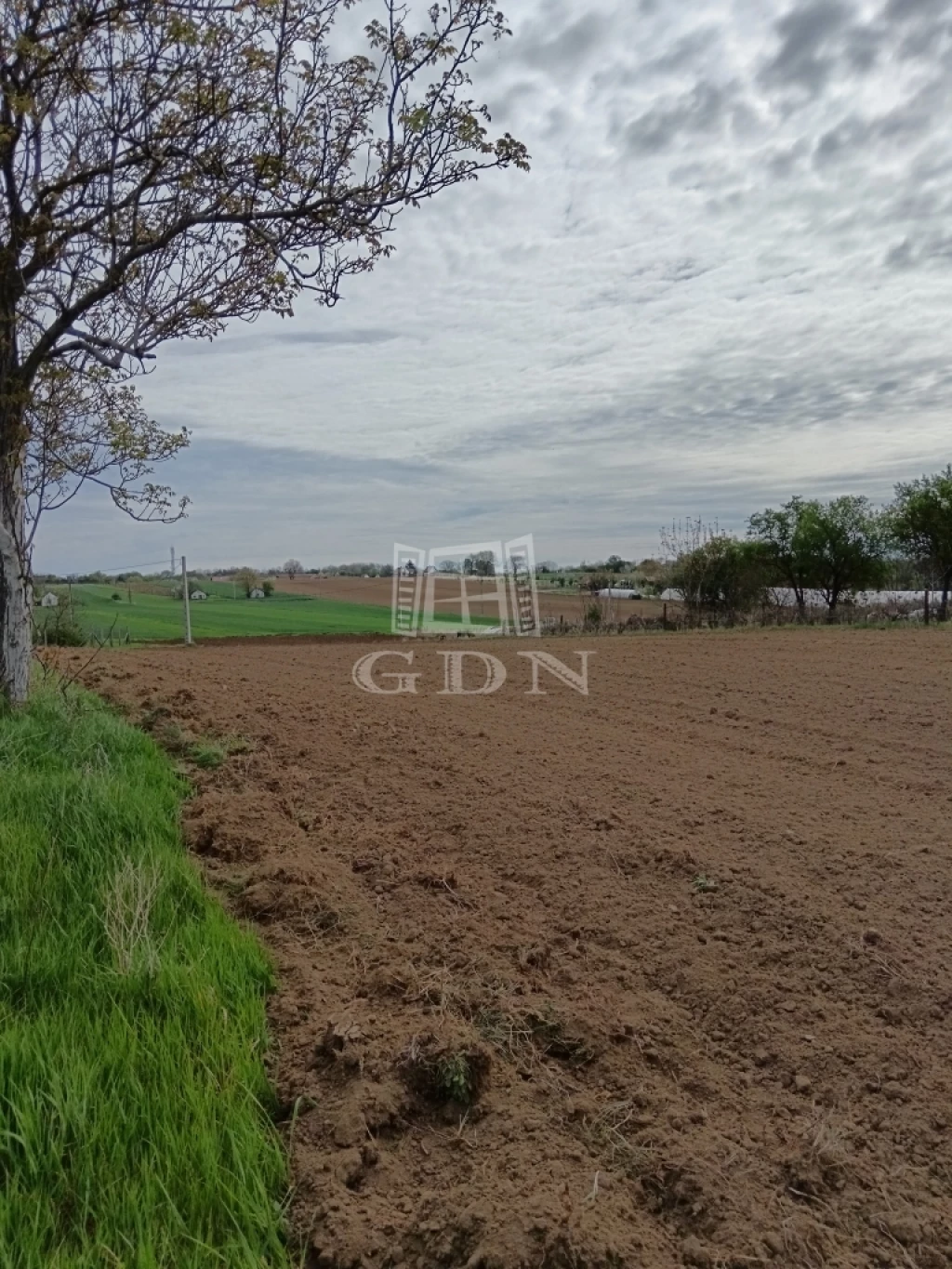 Eladó szántóföld, legelő, Balatonendréd, Öreghegy dűlő