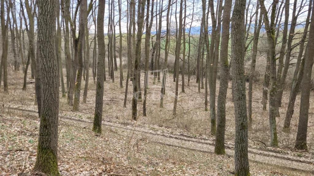 c3-1-name c2-57-name, Borsosberény, Külterület