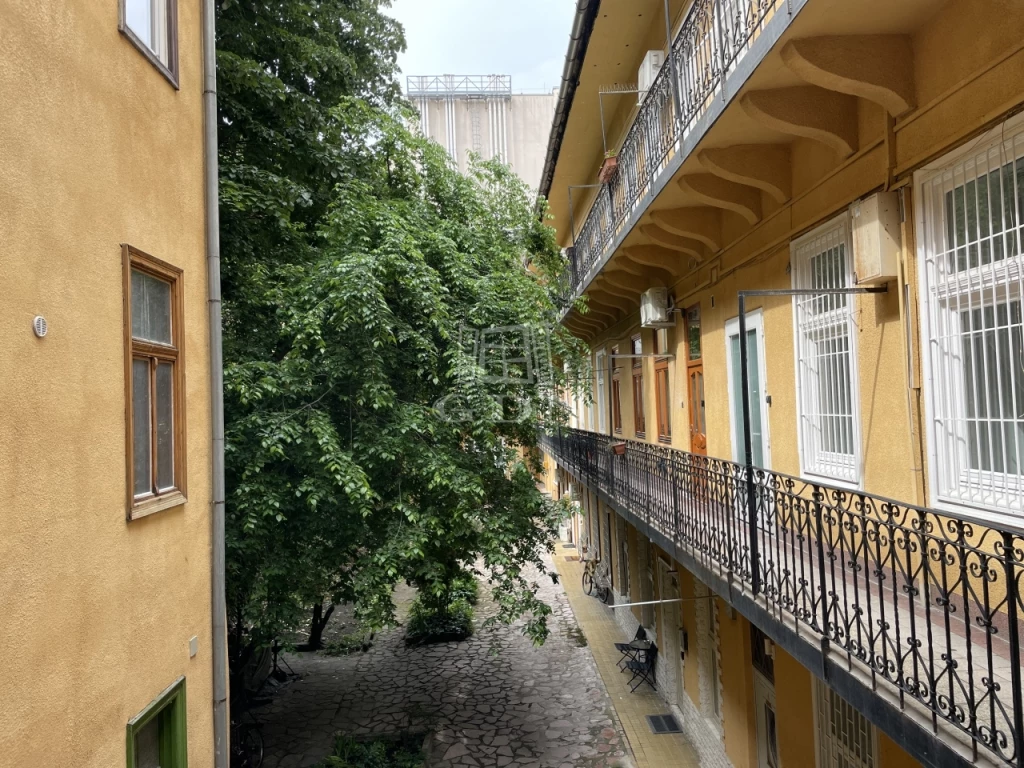 c3-1-name c2-19-name, Budapest VII. kerület, Nagykörúton kívüli terület, Nagy Diófa utca