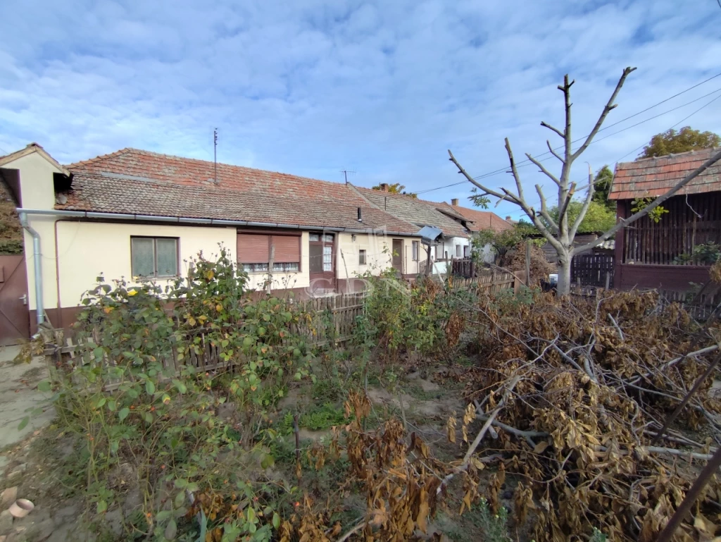 For sale house, Tiszaalpár, központ