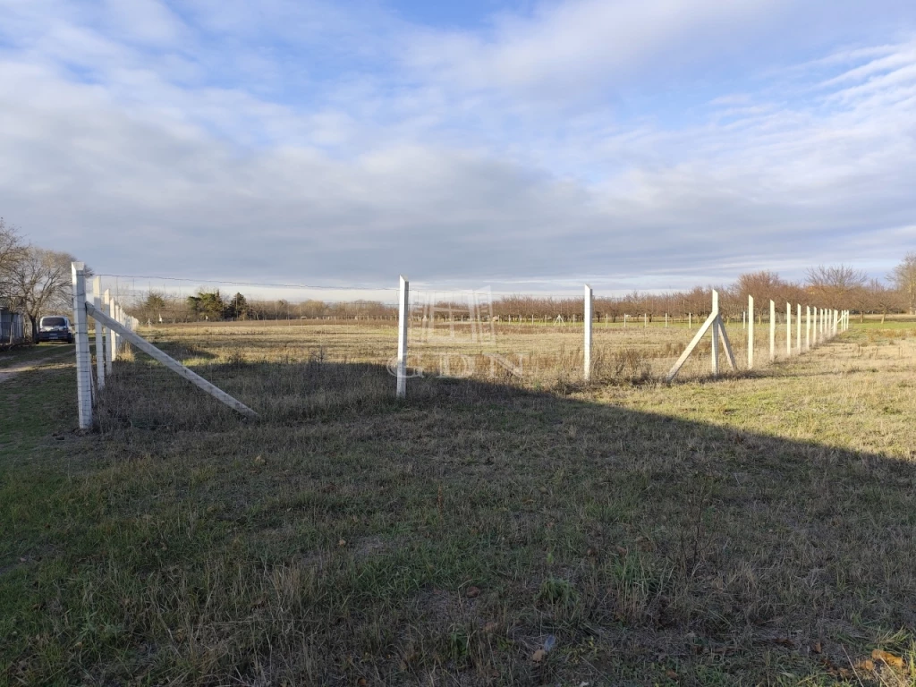 For sale periphery plot, Kecskemét, Matkó, Matkó