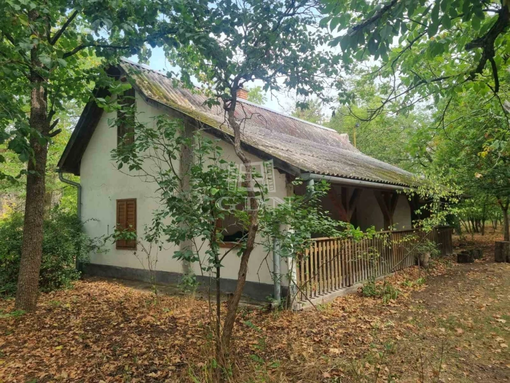 Eladó tanya, Nyárlőrinc, Nyárlőrinc