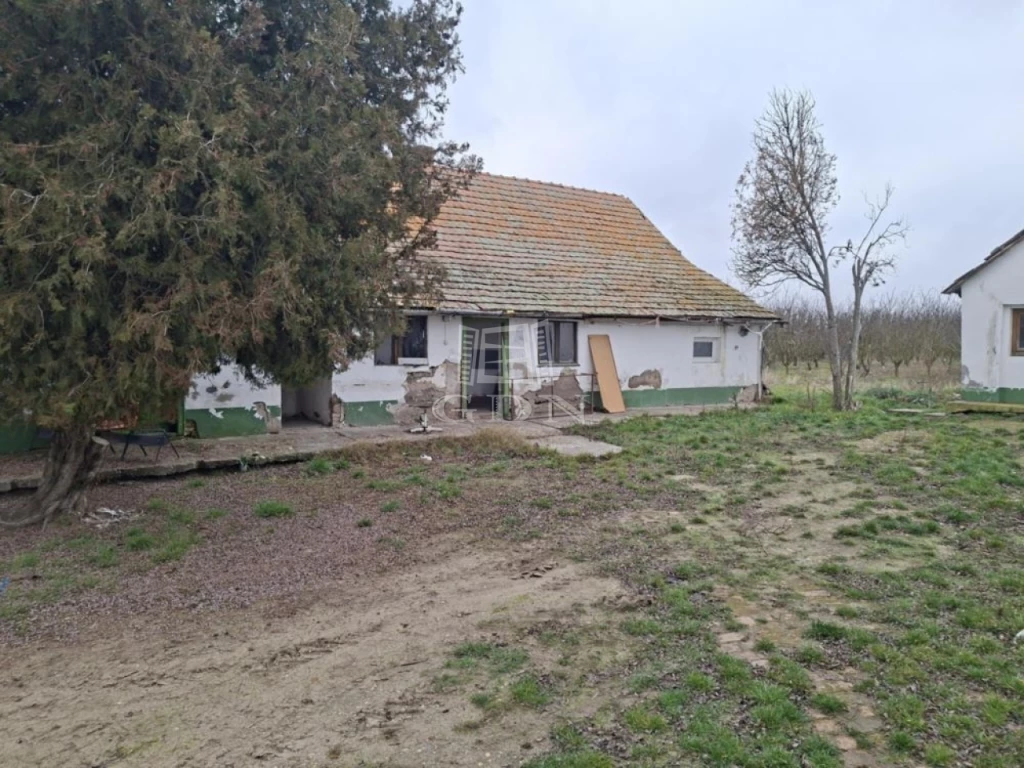 Eladó tanya, Kecskemét, Úrrét, A Zöldért telephely közelében