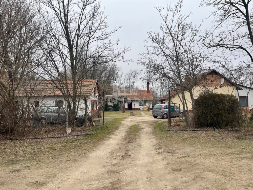 For sale grange, Balástya, Balástyán tanya eladó