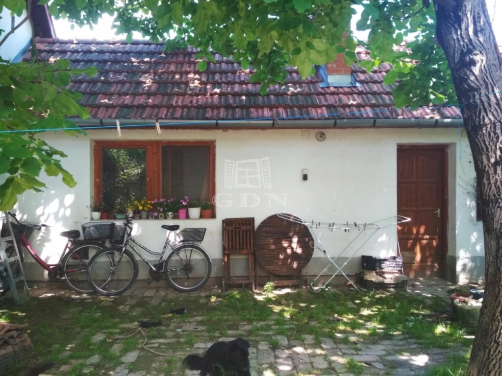 c3-1-name c2-1-name, Újszentiván, Damjanich utca