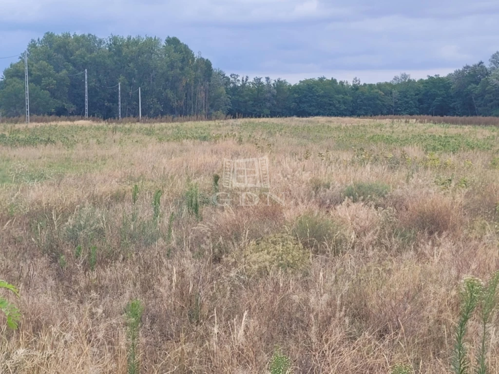For sale periphery plot, Mórahalom, Közművesített telek eladó