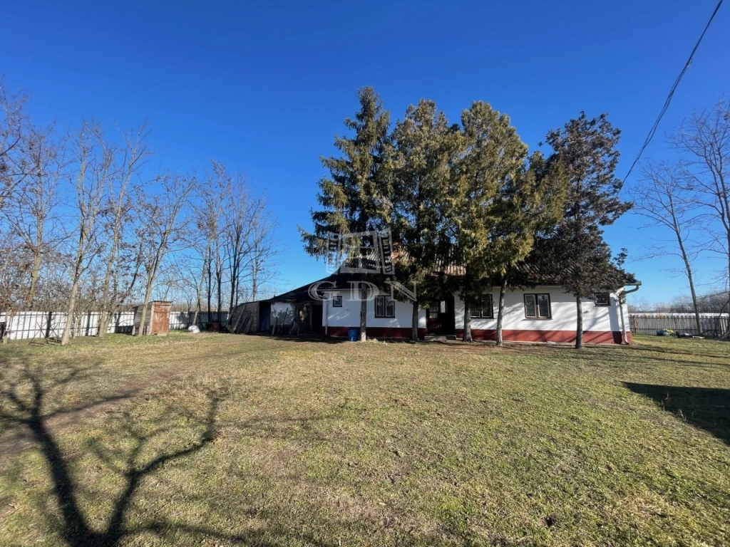 Eladó tanya, Kistelek, Tanya 101