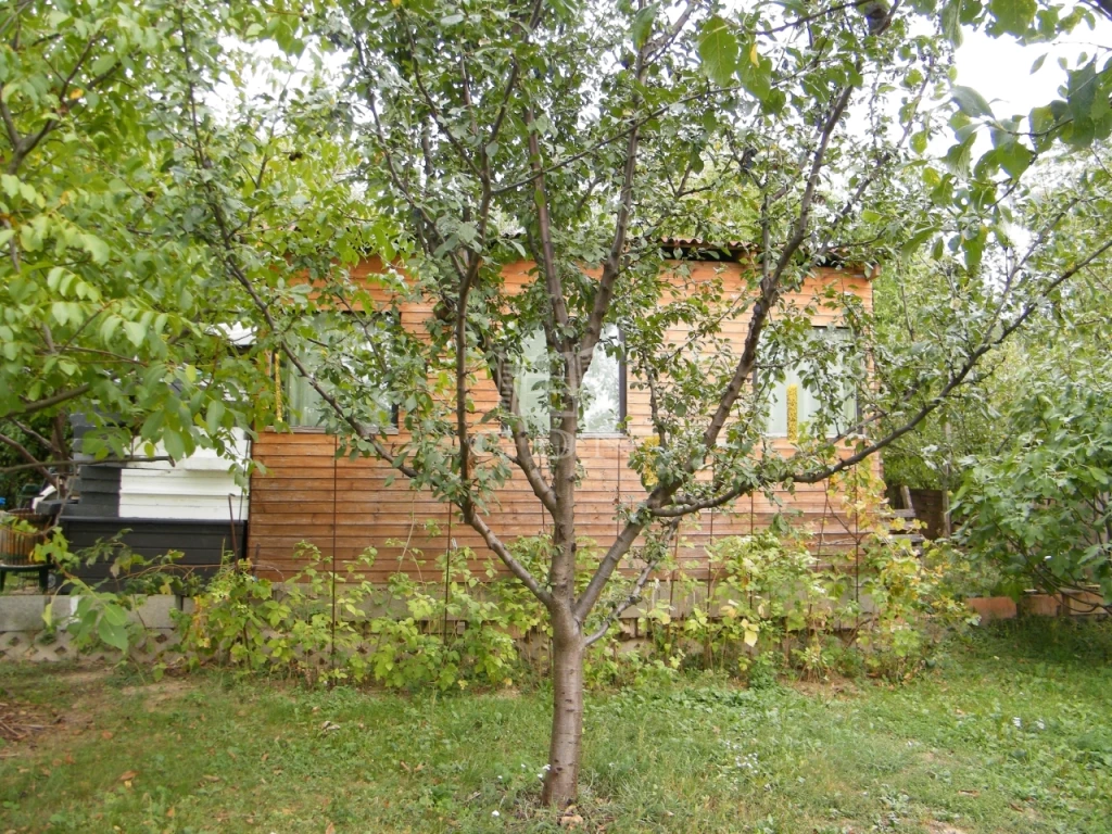 Eladó üdülőtelek, Budakeszi, Nagyszénászug, Nagyszénászug