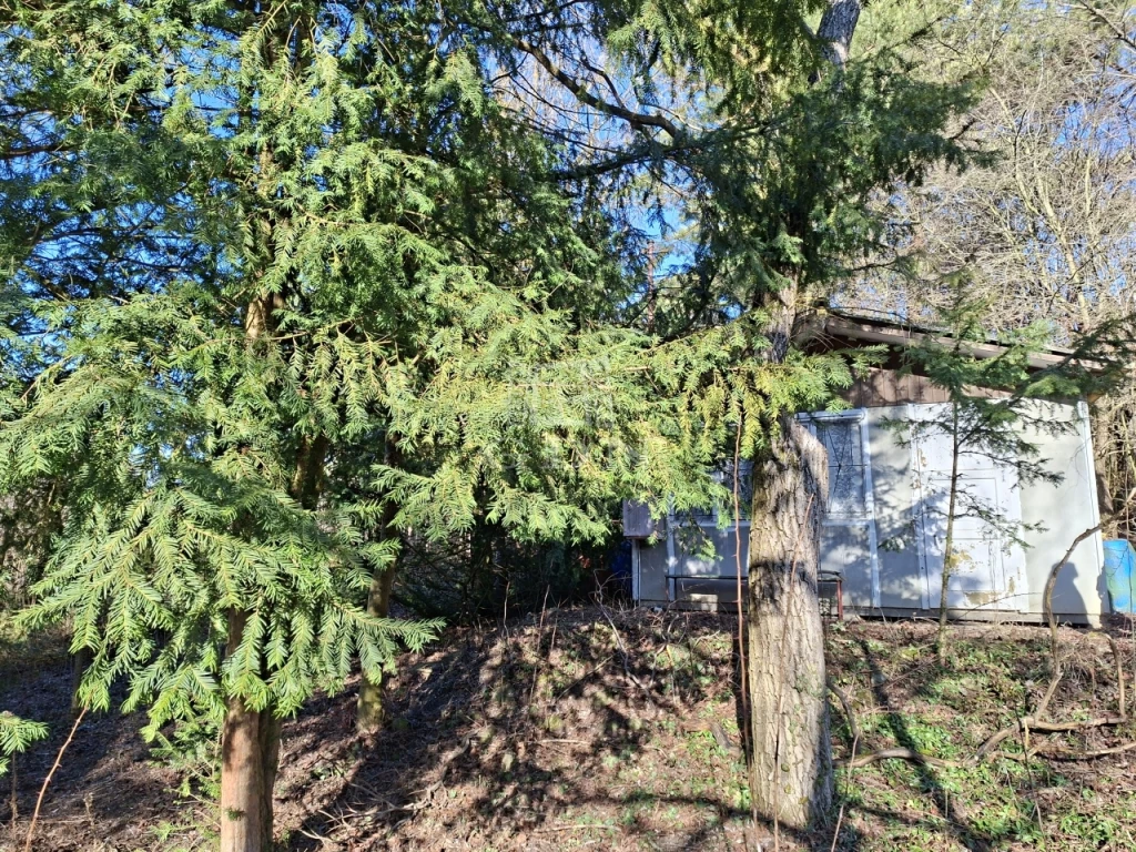 Eladó üdülőtelek, Budakeszi, Nagyszénászug, Csillag utca