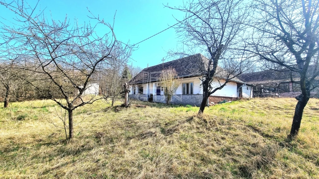 Eladó családi ház, Tésa, Kossuth