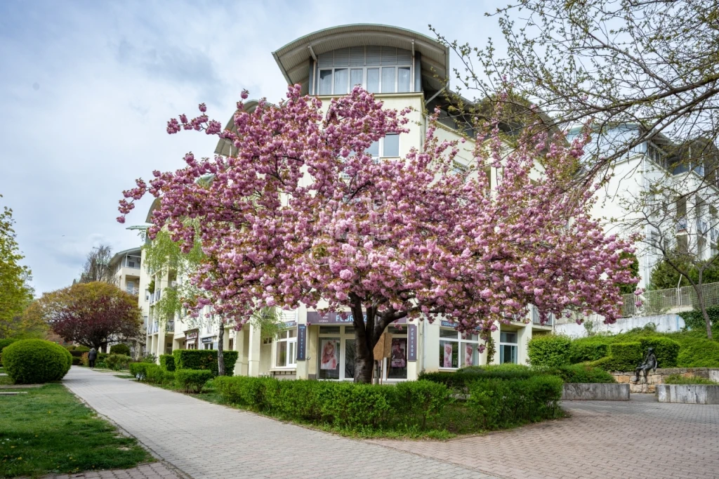 Eladó téglalakás, Budapest XI. kerület, Sasad-Sashegy XI. ker., Rétköz utca