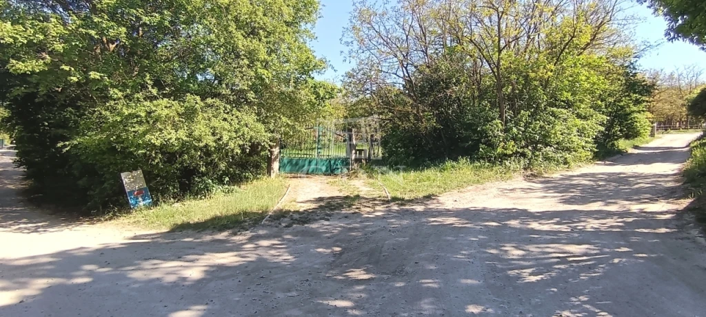 Eladó külterületi telek, Budapest XI. kerület, Kamaraerdő, Erdőtöve utca 3