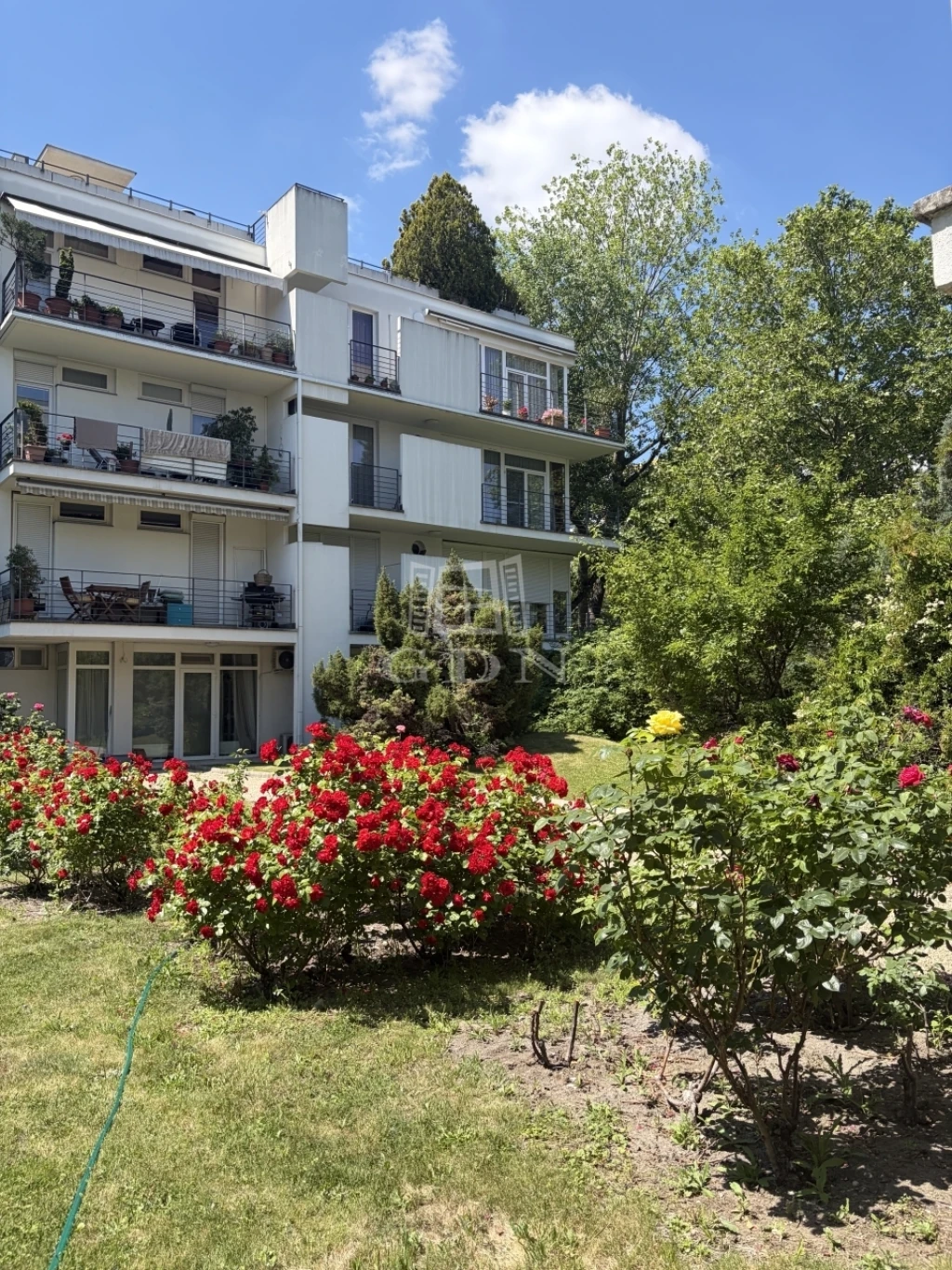 Kiadó téglalakás, Budapest XI. kerület, Sasad-Sashegy XI. ker., Pecz Samu utca