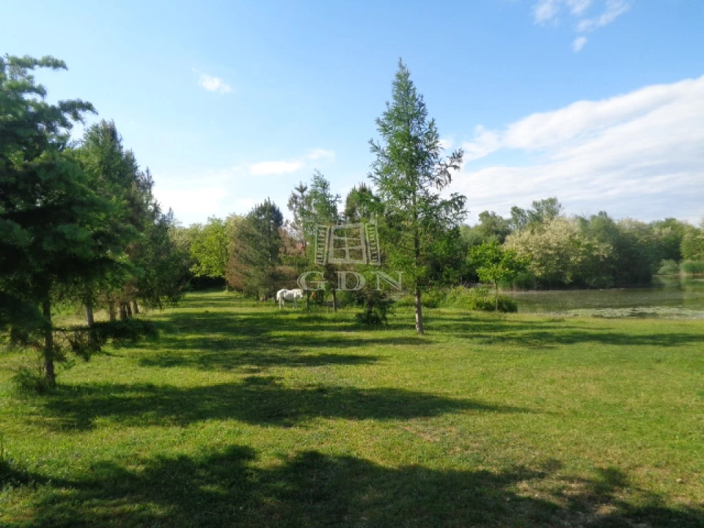For sale building plot, Püspökmolnári, Festetics György utca
