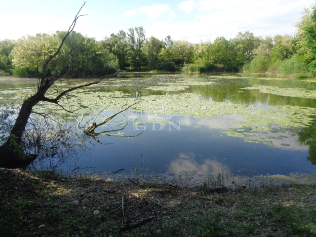 For sale fishpond, Püspökmolnári, Festetics György utca