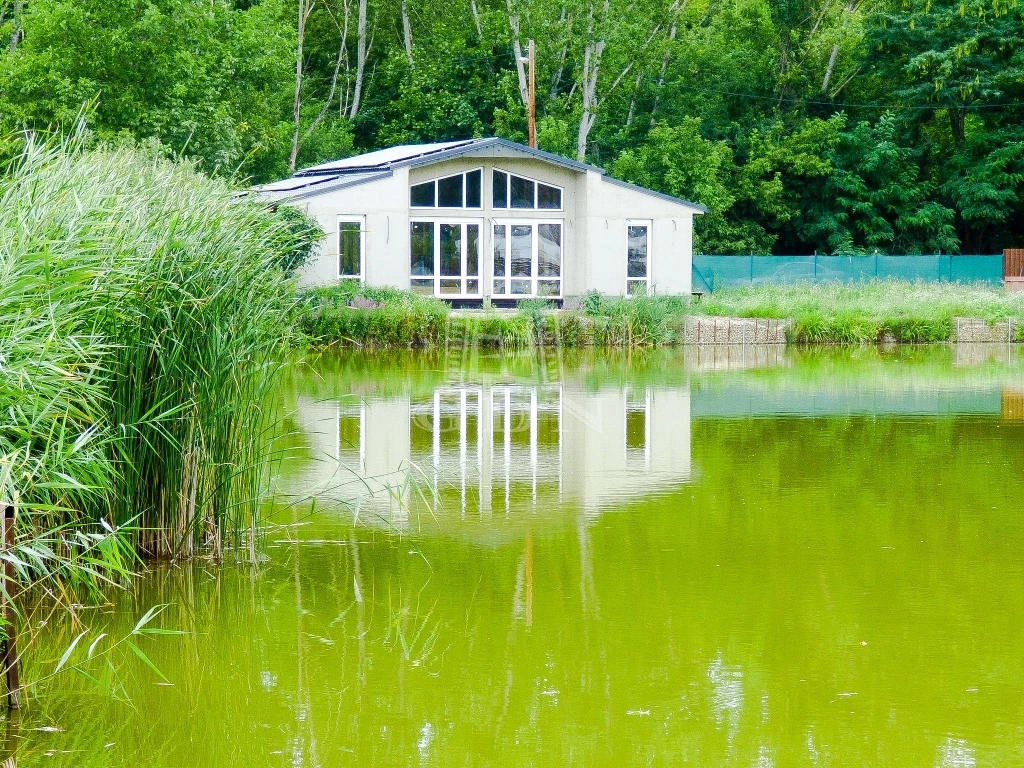 For sale house, Dunakeszi, Tőzeg horgásztavak, Tőzeg horgásztónál vízparti ház