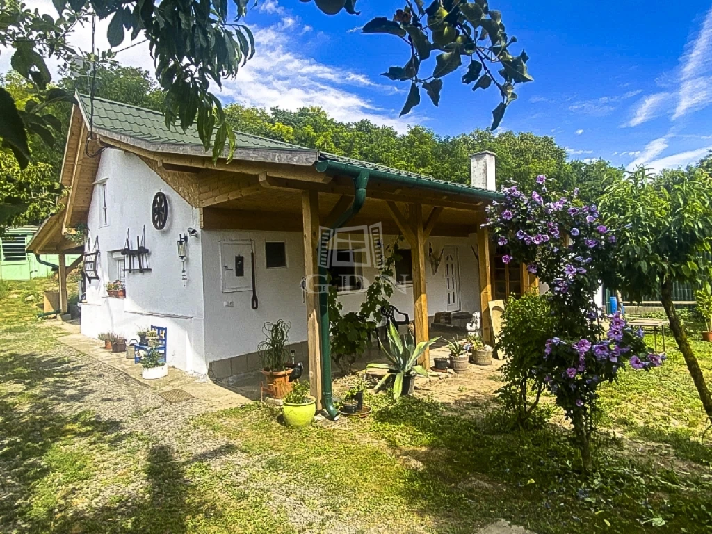 For sale house, Kosd, Székely utca környéke