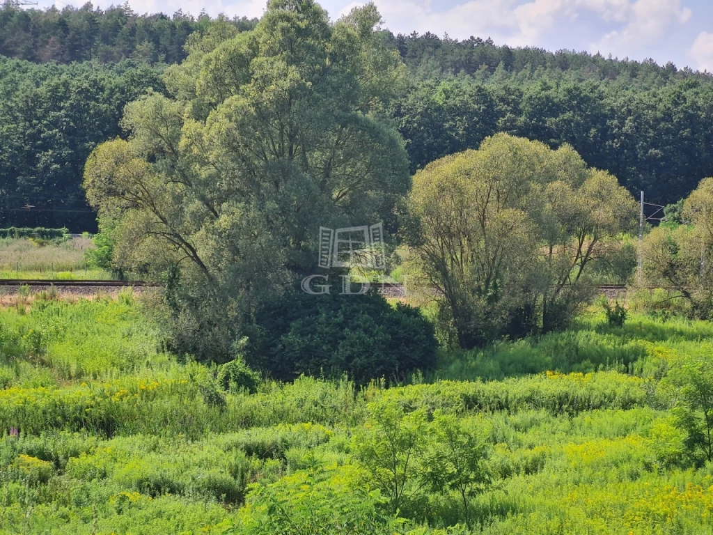 Eladó külterületi telek, Isaszeg, Öreghegy, Isaszeg/10- Rét - Erdő