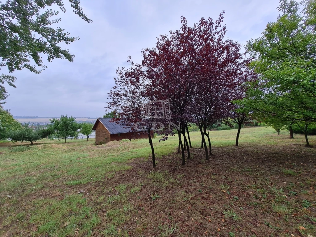 Eladó építési telek, Pécel, Apácadomb, Apácadomb- Panorámás telek