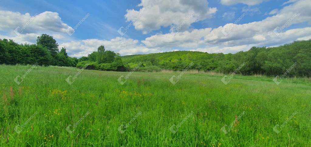 For sale lot, acreage, Miskolc, Lyukóvölgy