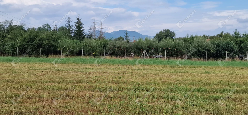 For sale building plot, Sárospatak, Kölcsey Ferenc utca