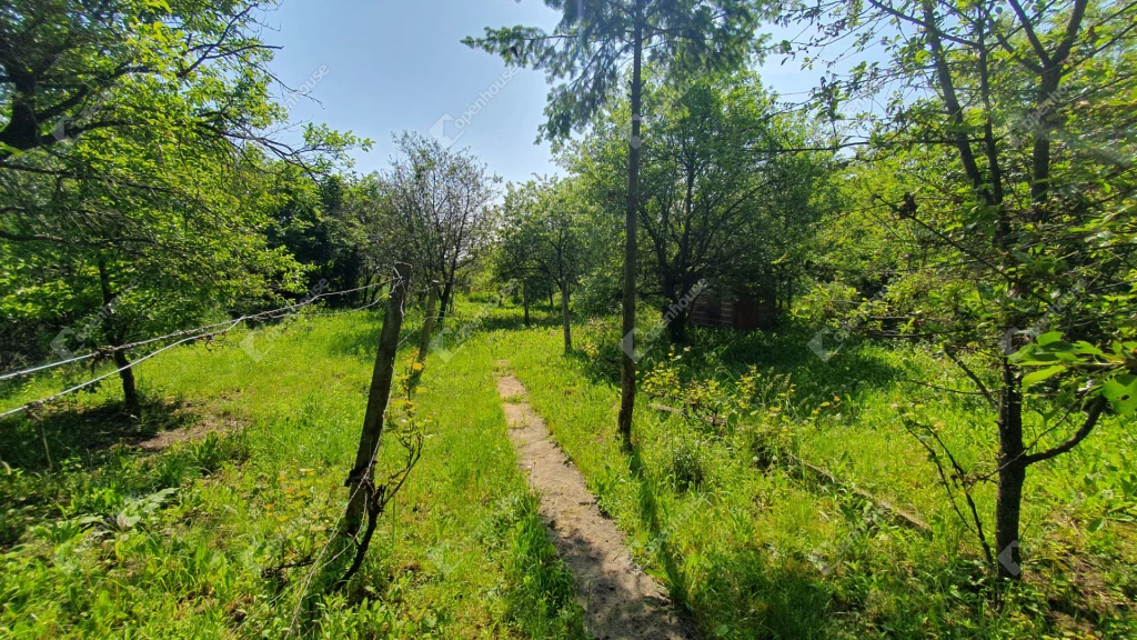 Magashegyen eladó 800 m2-es belterületi panorámás telek!