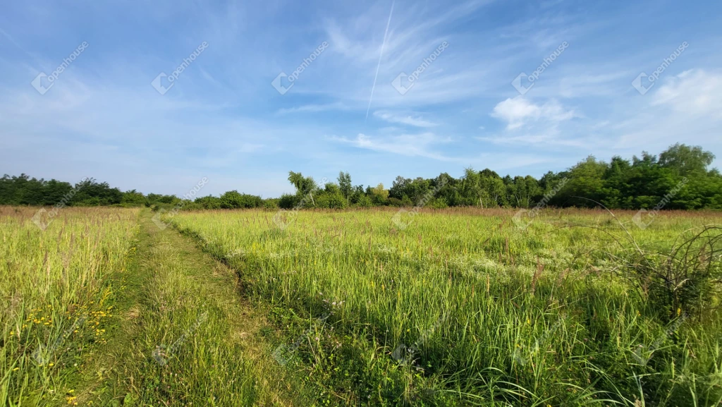 For sale plough-land, pasture, Miskolc, Lyukóvölgyi út