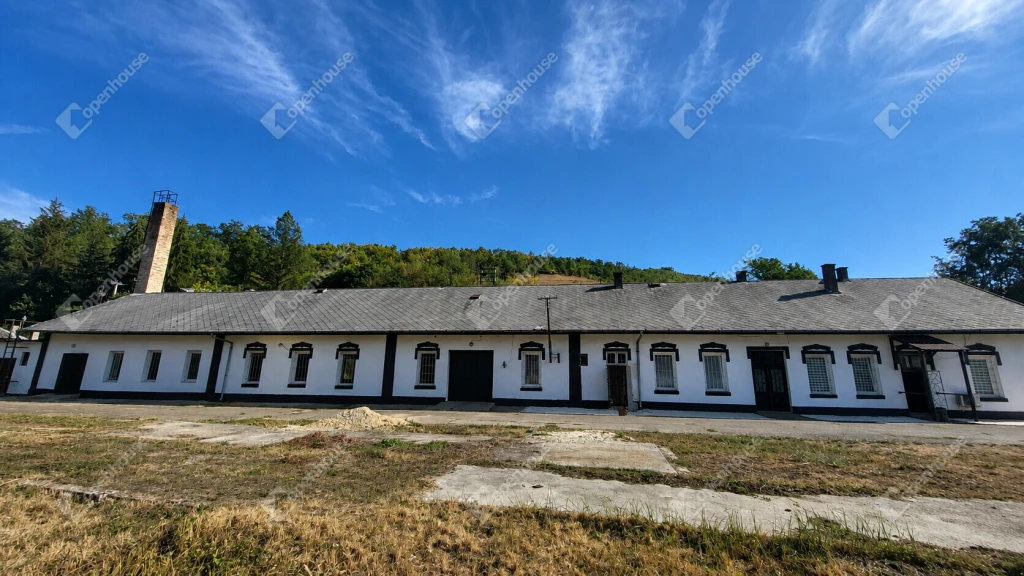 Ózdon 12000 m2-en működő faipari telep, 1100 m2 épülettel eladó!