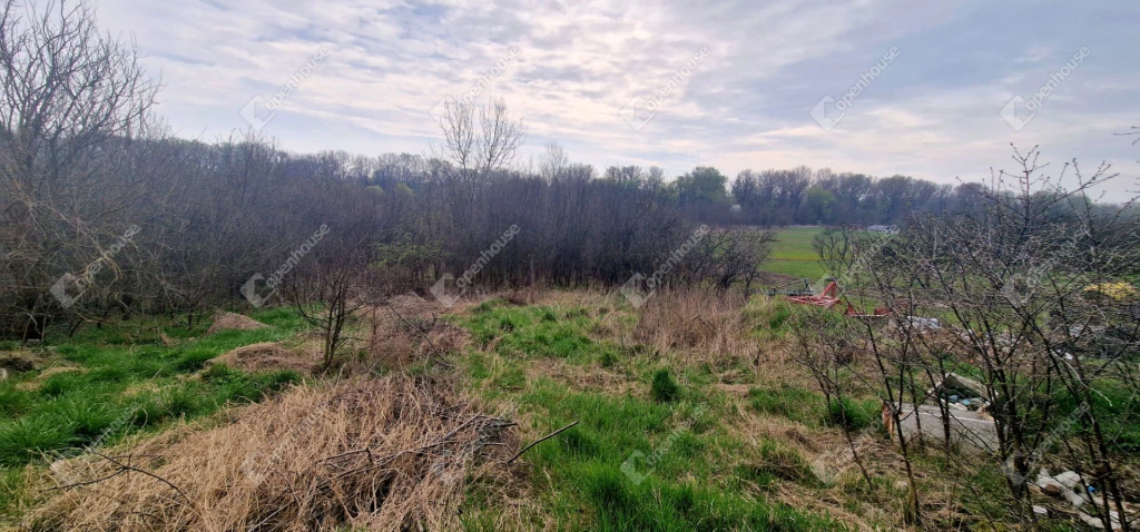 For sale building plot, Bodrogolaszi, Dózsa György utca