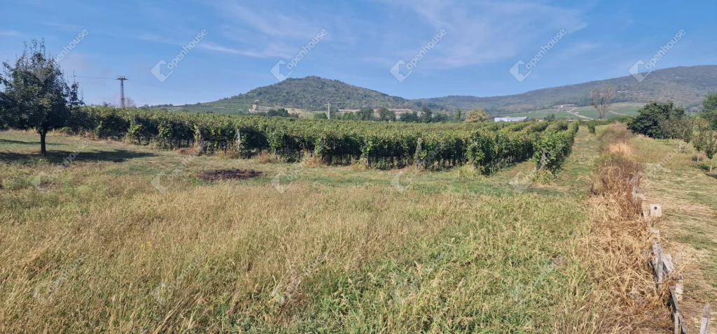 For sale building plot, Szegi, Alkotmány út