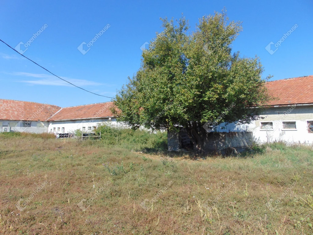 For sale plough-land, pasture, Taktaharkány, Arany János utca