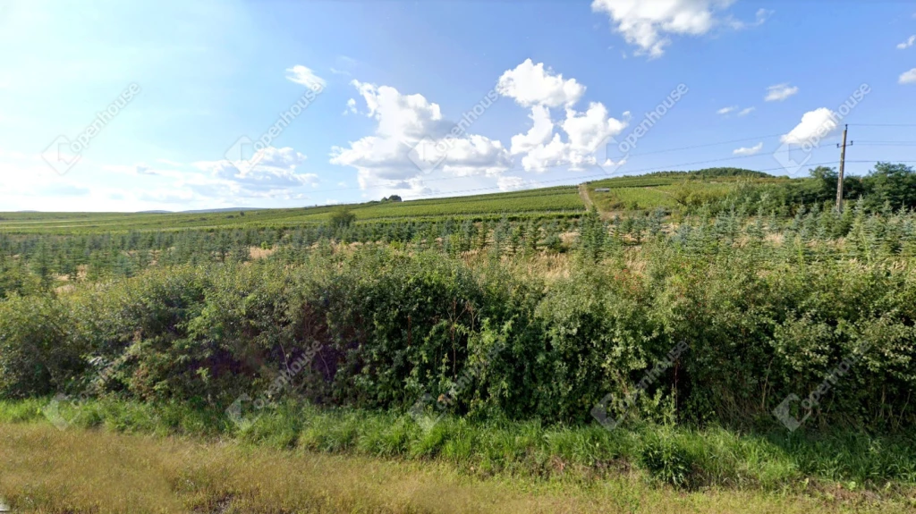 For sale plough-land, pasture, Sárazsadány