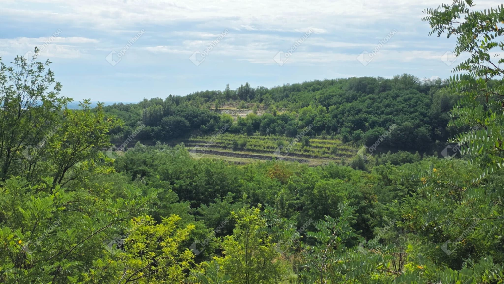 Befektetők! Eladó 4,6 hektár terület, agyagbánya Mályi területén!