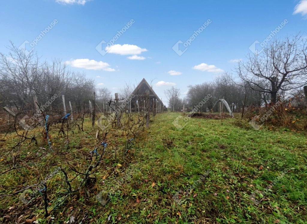 Pingyomon eladó nagy méretű 6158 m2-es telek
