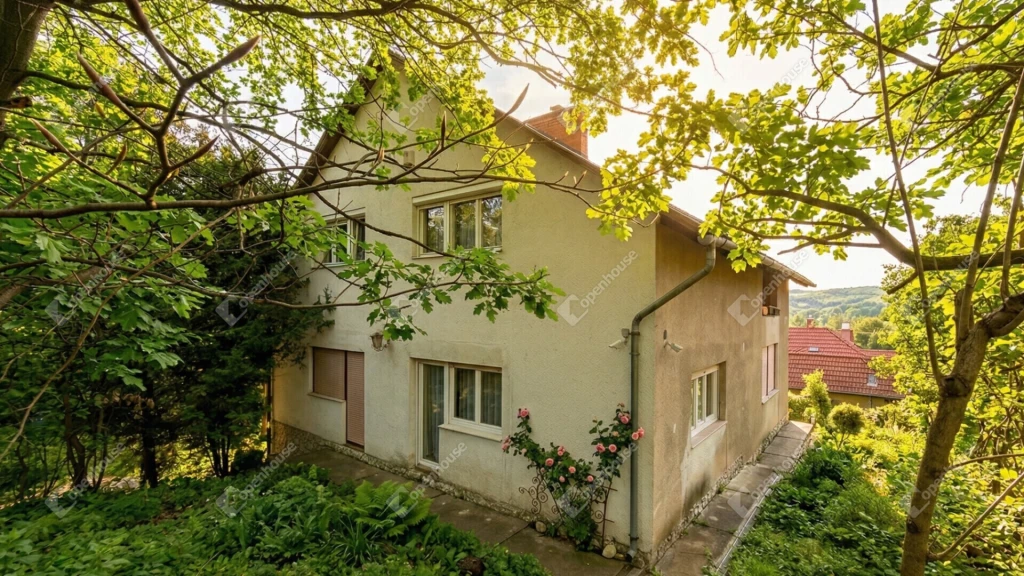 c3-1-name c2-1-name, Miskolc, Mélyvölgy utca