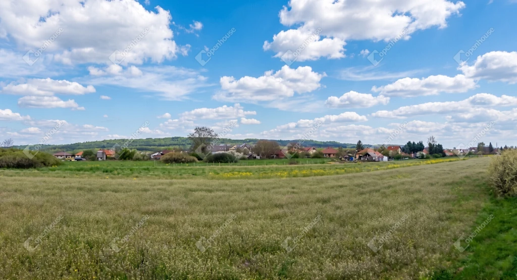 c3-1-name c2-50-name, Mályi, Erkel Ferenc utcája