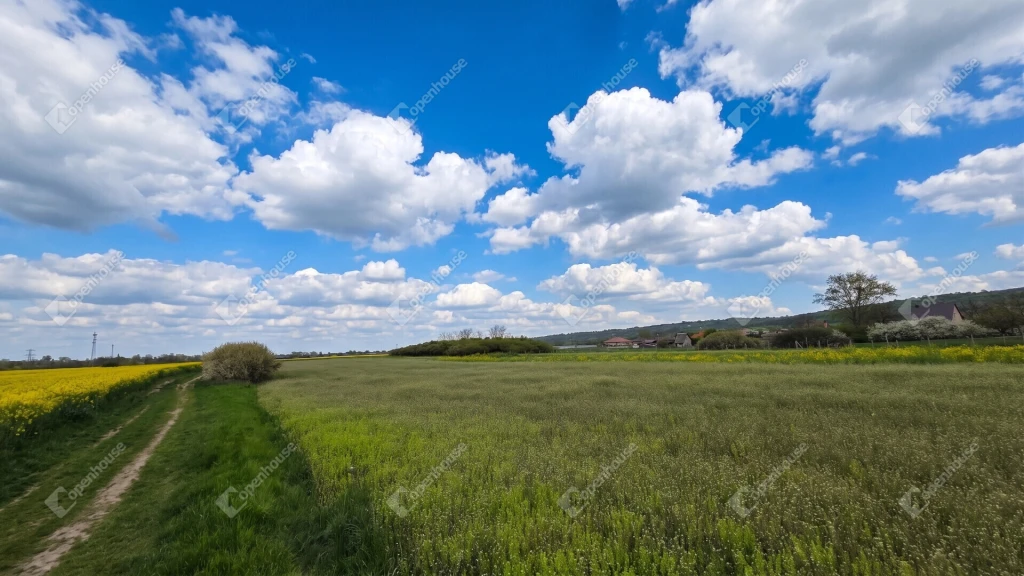 Mályi belterületén építési telkek sík területen külön vagy egyben