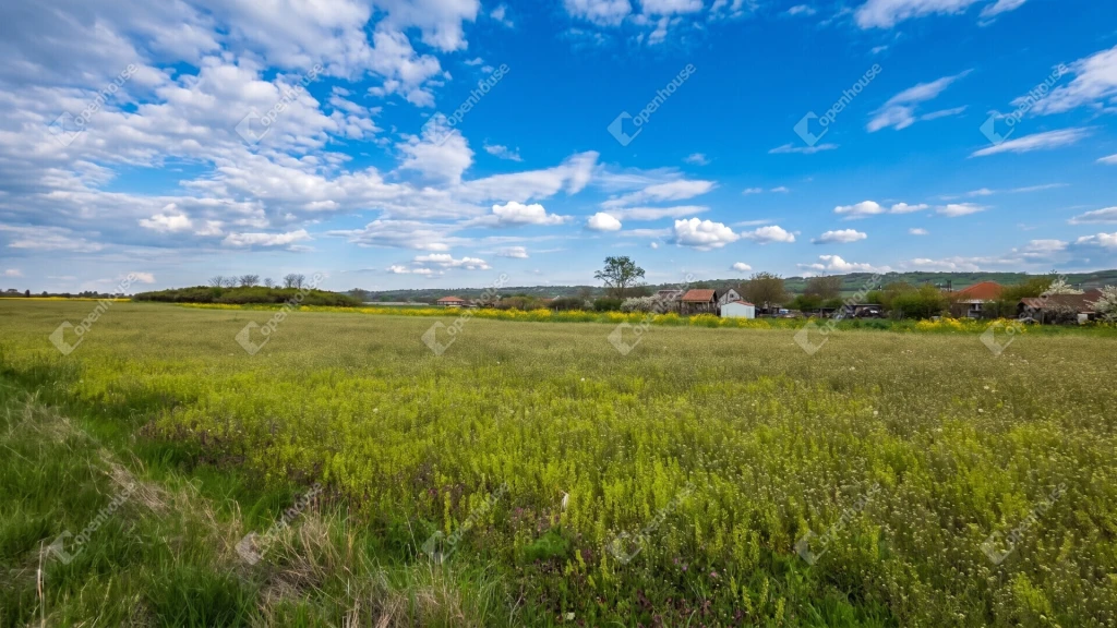 c3-1-name c2-50-name, Mályi, Mező utca