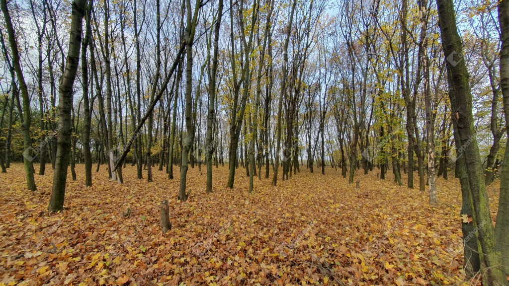 c3-1-name c2-57-name, Sajókeresztúr, Petőfi utca