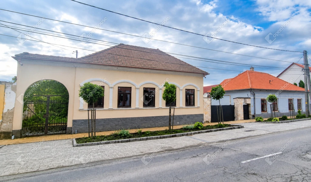 Abaújszántón központi helyen 850 m2-es ház ipari üzem telephely eladó