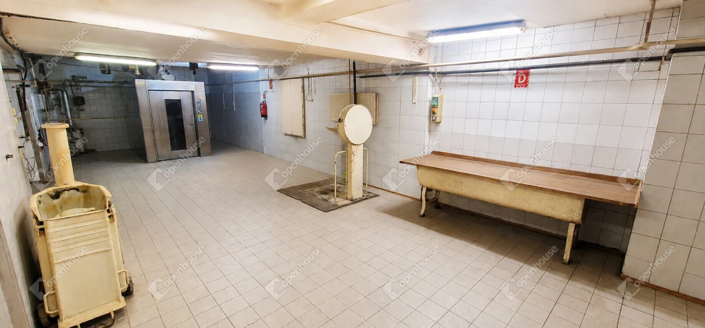 Abaújszántón központi helyen 850 m2-es ház ipari üzem telephely eladó