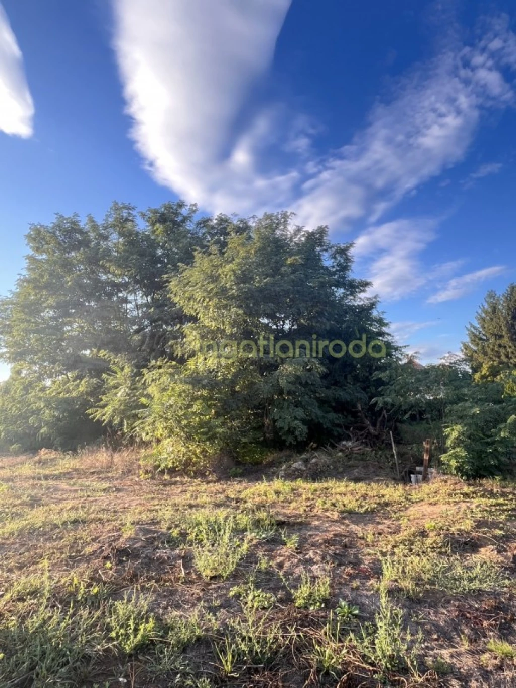 Eladó tanya Nyírtelek és Nyírszőlős között, a közkedvelt Mátyás-bokorban!Aszfaltútról könnyen megközelíthető, és az elkerülő...