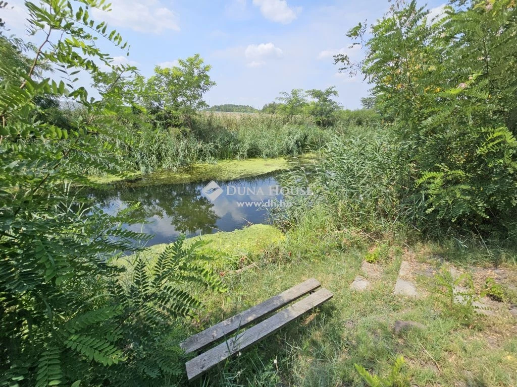 For sale house with a garden, Kunszentmiklós