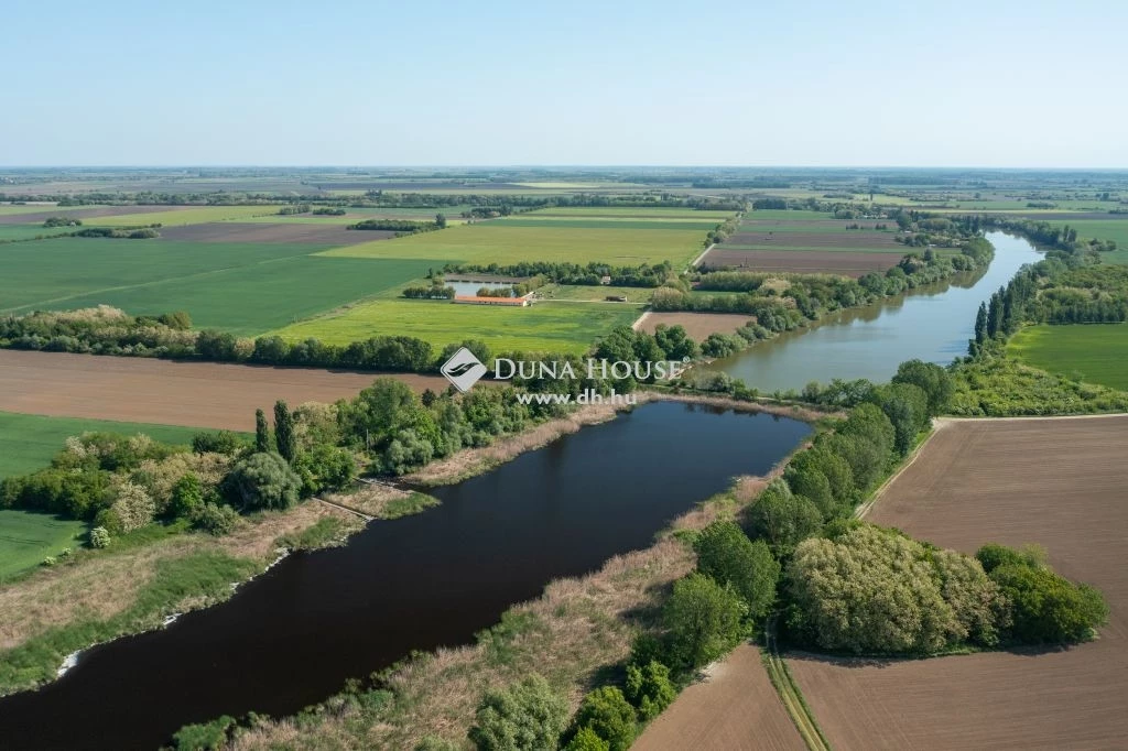 For sale house, Csongrád